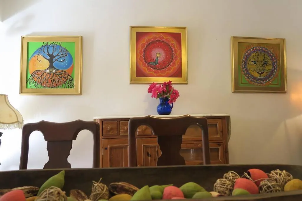 Oceanview Apartment With Garden Access Vieques Puerto Rico