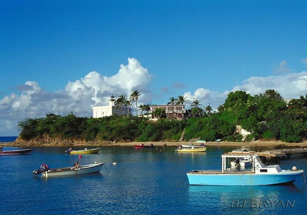 Oceanview Apartment With Garden Access Vieques