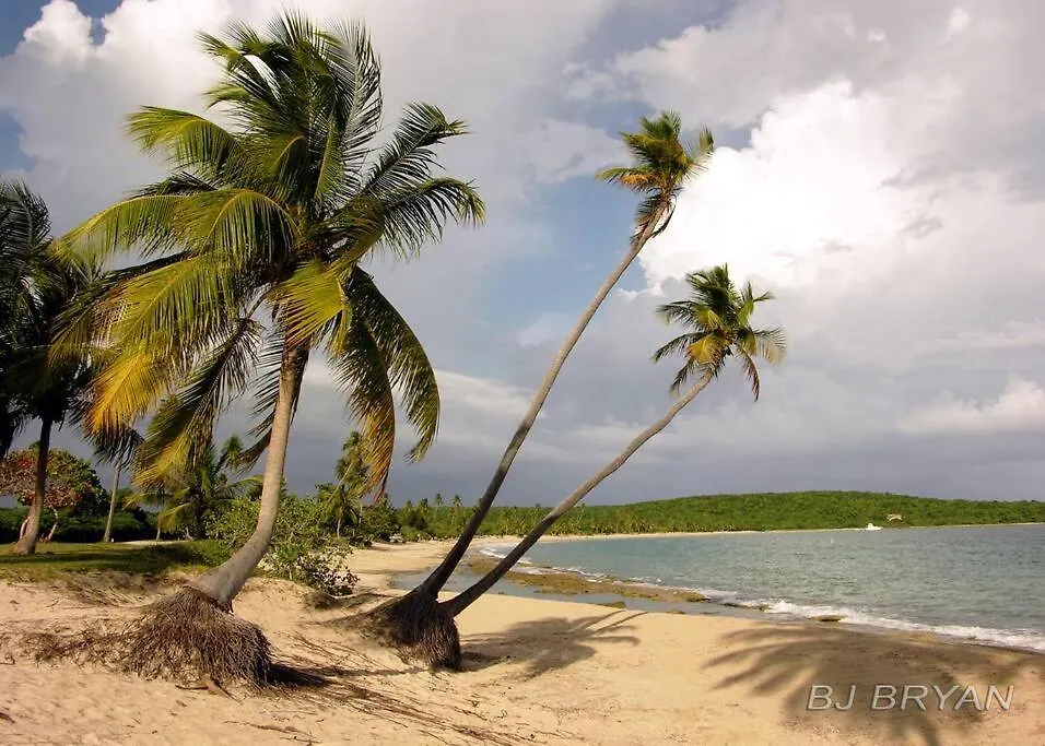 Oceanview Apartment With Garden Access Vieques